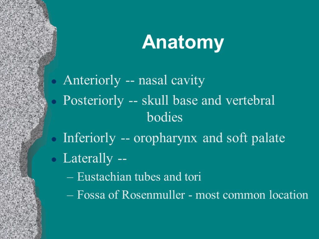 Anatomy Anteriorly -- nasal cavity Posteriorly -- skull base and vertebral bodies Inferiorly --